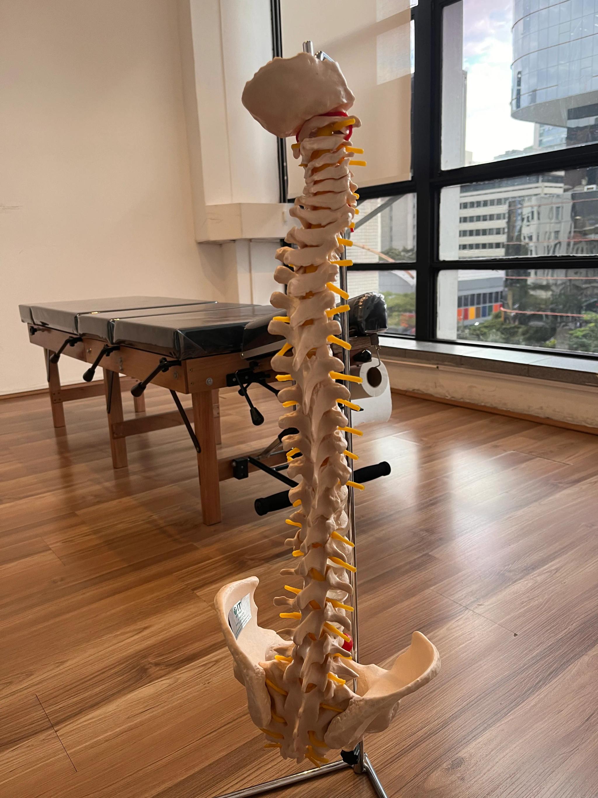 Foto de uma coluna de plástico em uma das salas da clinica Quiropraxia Paulista, unidade da Paulista